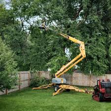 Best Pest Control for Lawns  in Palm Beach Gardens, FL