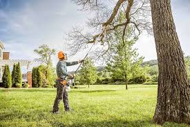 Best Hazardous Tree Removal  in Palm Beach Gardens, FL