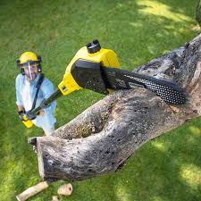 Best Lawn Mowing  in Palm Beach Gardens, FL