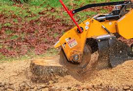 Best Lawn Grading and Leveling  in Palm Beach Gardens, FL