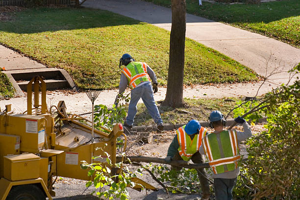 Best Lawn Drainage Solutions  in Palm Beach Gardens, FL